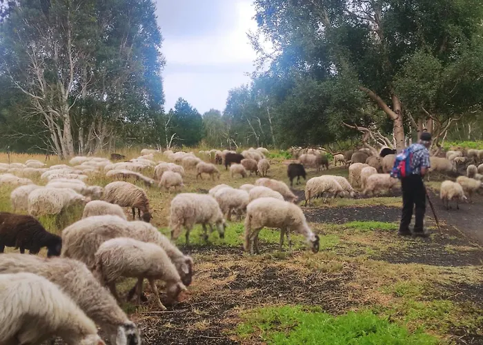 Appartement Centro Enjoy Our Sicily
